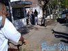 jardin_cami_ (110)