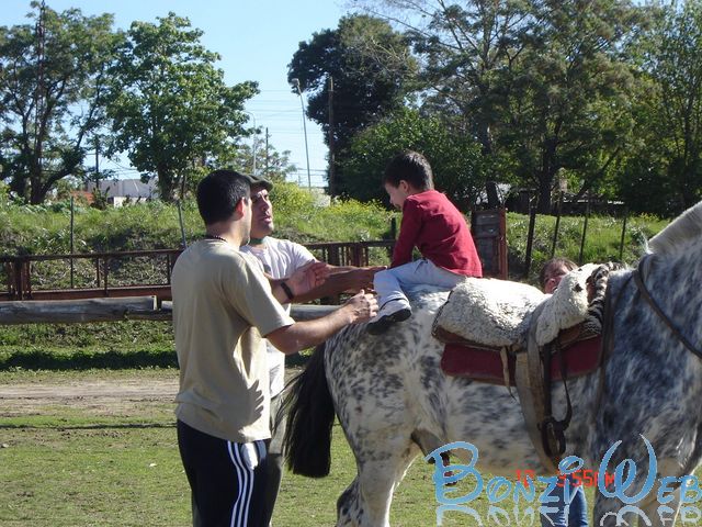 SUYAI Equinoterapia Integrada - BonziWeb
