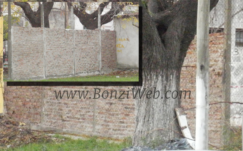 Obra calle Cucha Cucha en la Escuela Aldo Bonzi - BonziWeb