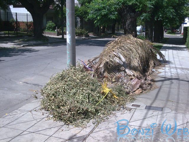 El costo de amar la naturaleza - BonziWeb - Aldo Bonzi